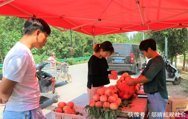  果实@农民种植一种果树，果实秋季成熟，20棵收入30000元！