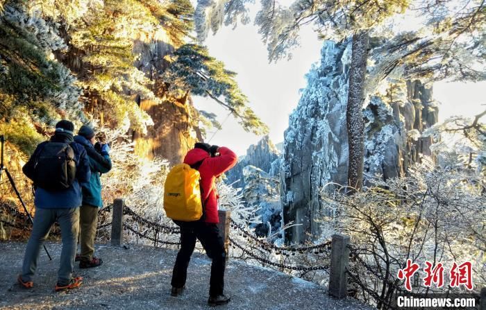 黄山现雾凇景观 大美风光引游客留影