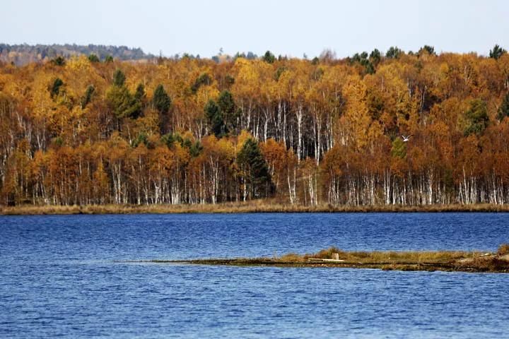 再过半个月，贝加尔湖的秋简直要逼疯摄影师!
