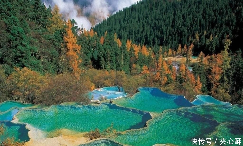  『配方』只需用五味药材，简单泡制四季通用钓鱼饵料配方