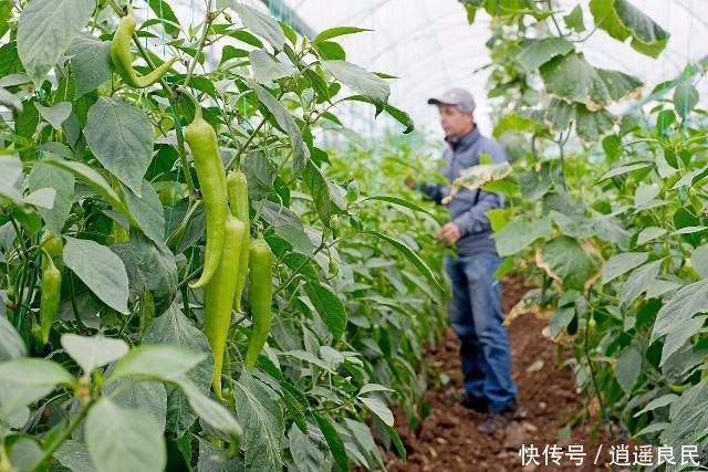  在外■在外打工不容易，这3种工作再挣钱别做，有3种行业很适合