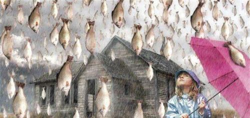 【自然现象】天降“活鱼”,鱼铺满了地面,当地居民捡都捡不过来!