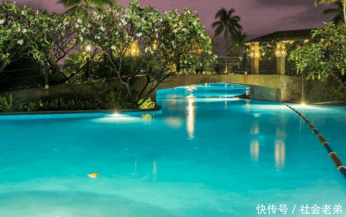 男子在用泳池中放飞自我, 意外导致数名女子怀孕, 真相说出来你都