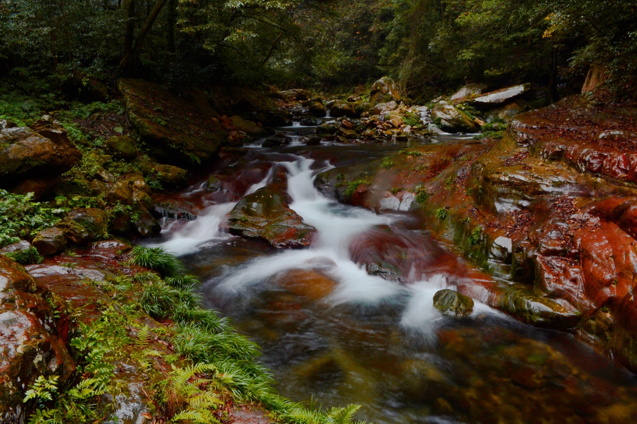 世界性价比最高旅游十佳城市，湖南上榜！网友：厉害了我的国！