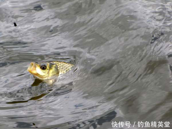 『风向』钓鱼和刮风有什么联系?能回答这三个问题,说明你钓鱼有些年头了