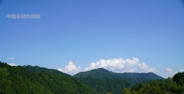 自驾游眉凤路到太白山以西第一高峰玉皇山，人少景美你一定要来哦