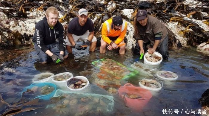 地震后海面隆起一个小岛，当地居民发现上面的东西而喜出望外