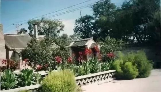 我家有一个大花园，这花园里蜂子，蝴蝶，蜻蜓，蚂蚱，样样都有