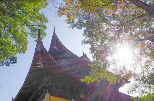 这里遍地都是硅化木化石，还有满坡的恐龙蛋却没有人去挖