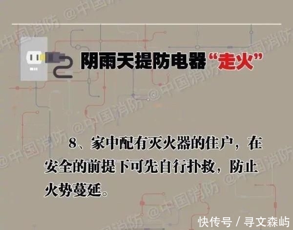  [电线短路]4000头猪一夜毙命 网友：心疼