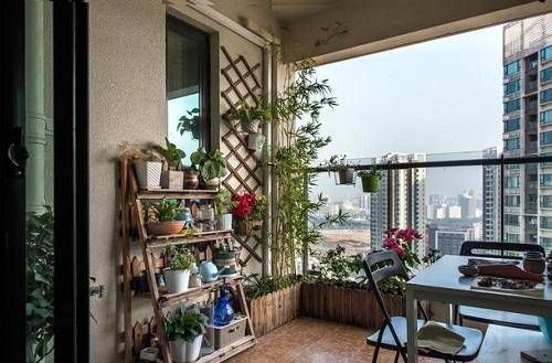  『绿植太』家中的绿植太多？没关系，有花架帮助你，这样选择准没错