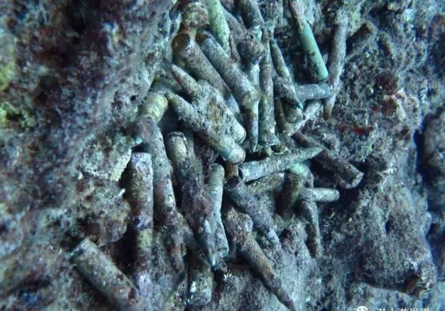 这个唯一免签的美国领土，刚刚缩短了免签停留期！不潜水还等啥呢