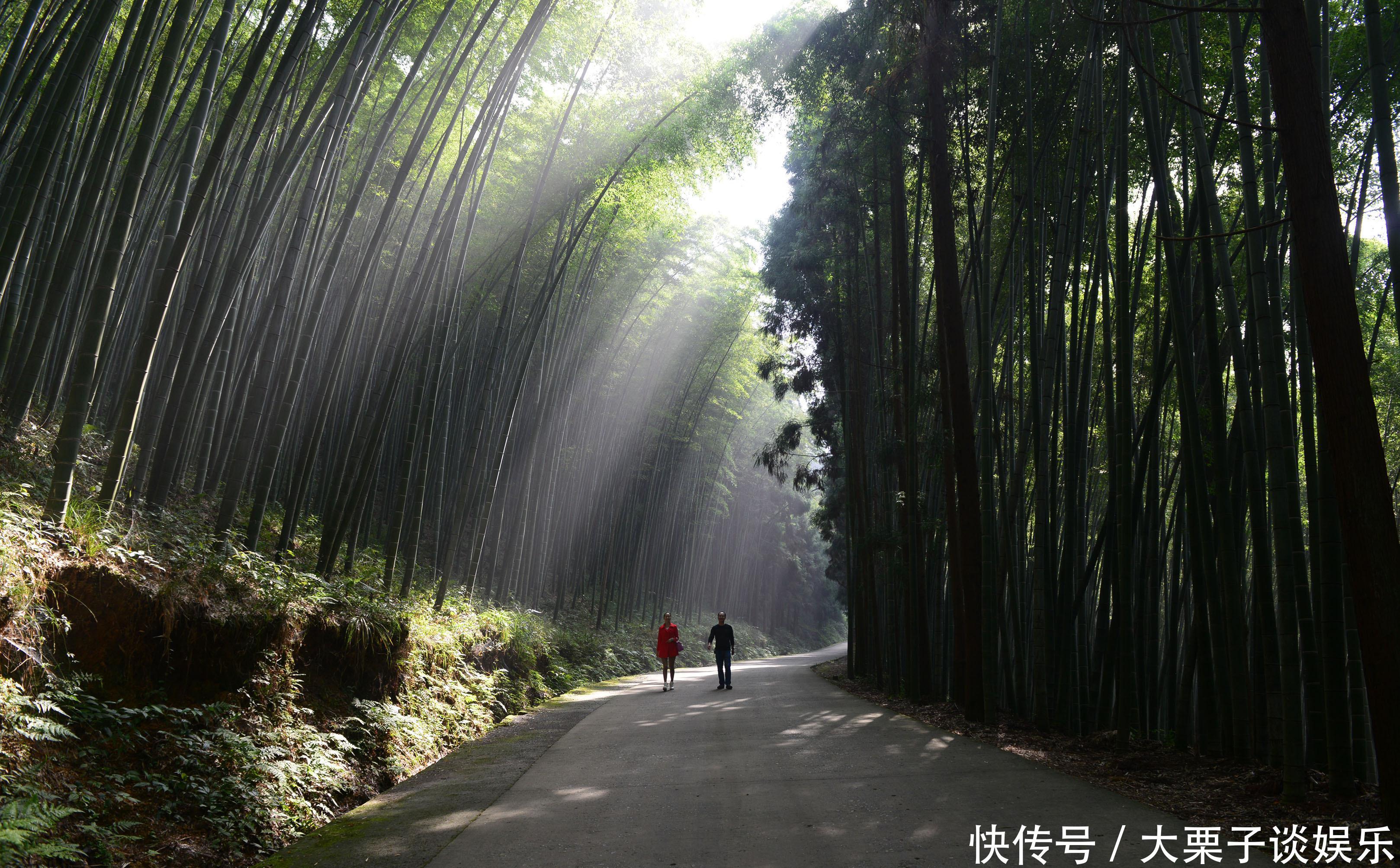 四川第一条时速350的高铁，连接四座重要城市，为何却错开自贡？