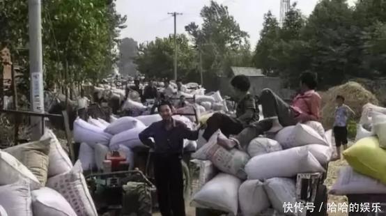 以前农民上交的公粮，算不算交社保如今有了答案