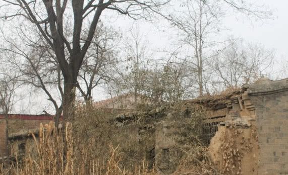 农村的老房子，为什么有人住能百年不倒，而无人住几年就塌了