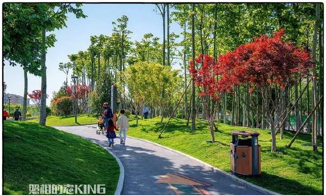  「改造」济南这回下血本，小清河沿岸改造交作业，你打几分？