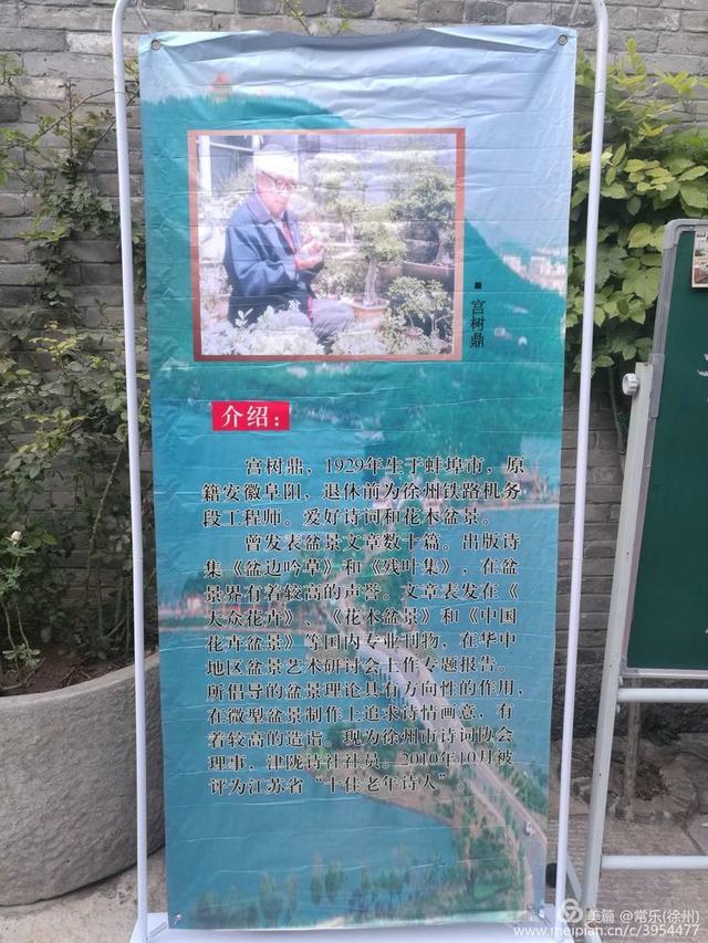#盆协#徐州收藏家协会(盆景协会和铁路盆协)回龙窝微型盆景