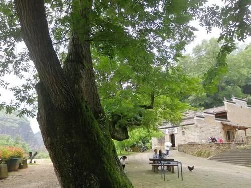 中国最特别的村庄,一年四季都没有蚊子,专家都无法解释,网友: