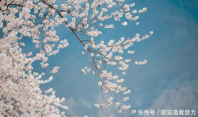 别错过秋天的林芝，景色堪比喀纳斯，最不该错过秋色童话世界