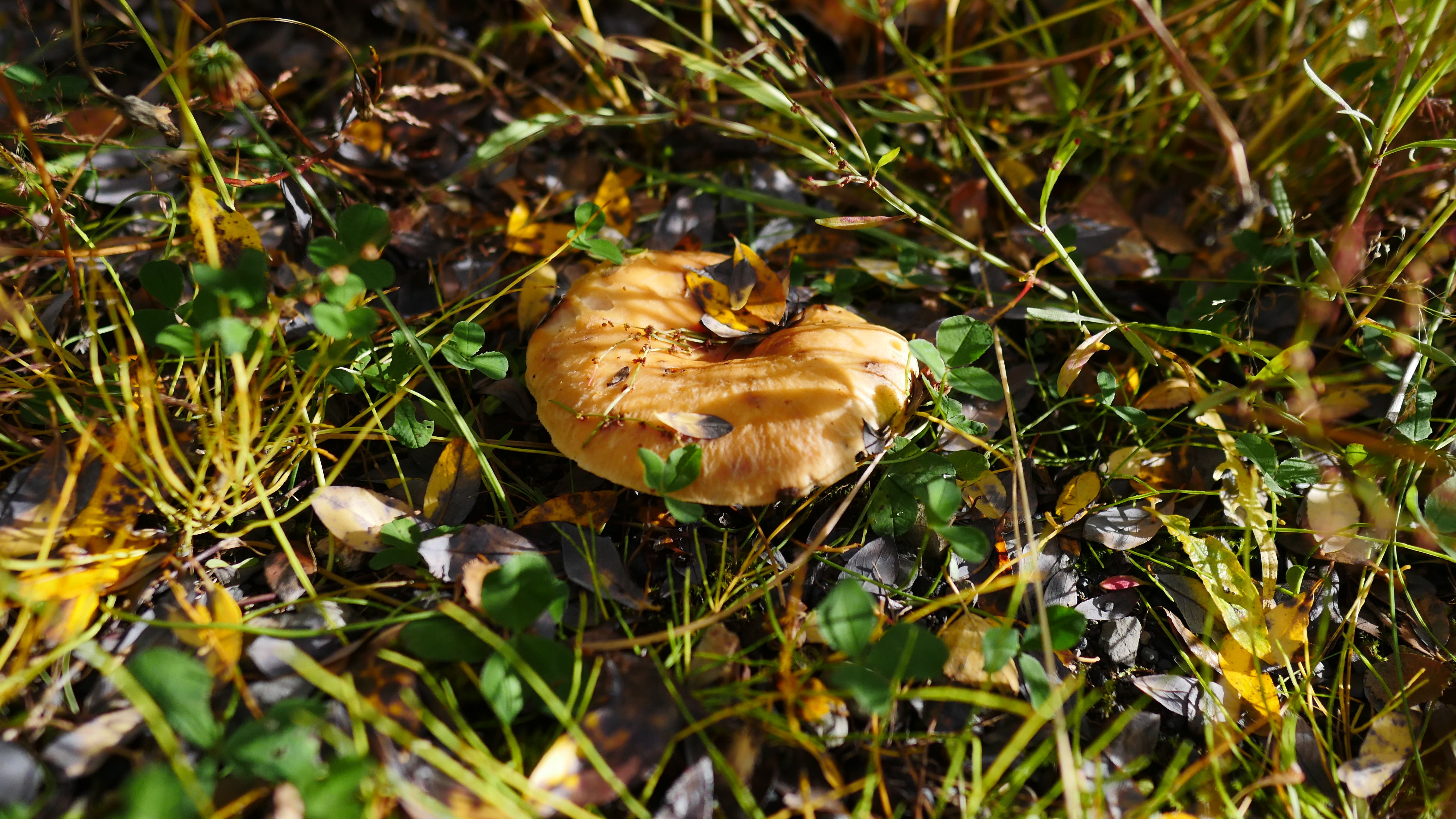 一起去世界的尽头流浪 冰岛历险记（中）