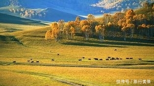 11月份国内最佳出游5大景点，自驾游的不二目的地，感受深秋美景