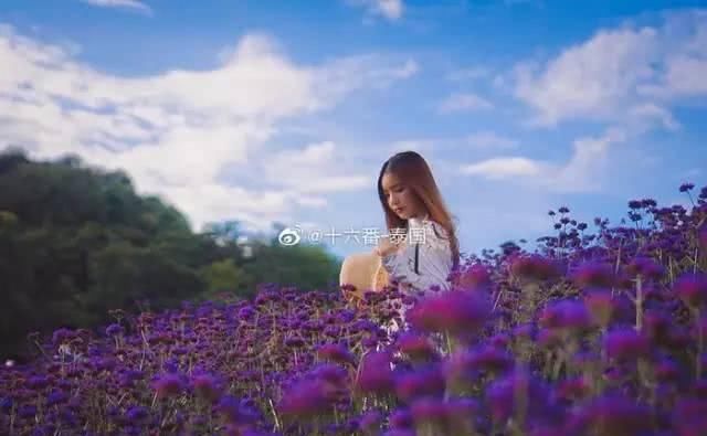 这个网红地儿，来多少次都不会腻！签证好办，性价比高过日本！