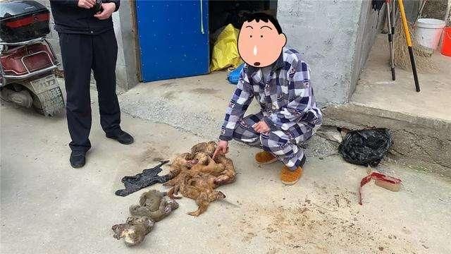  这件@即日起，新规施行，村干部新任务，严查农村这件事，农民早