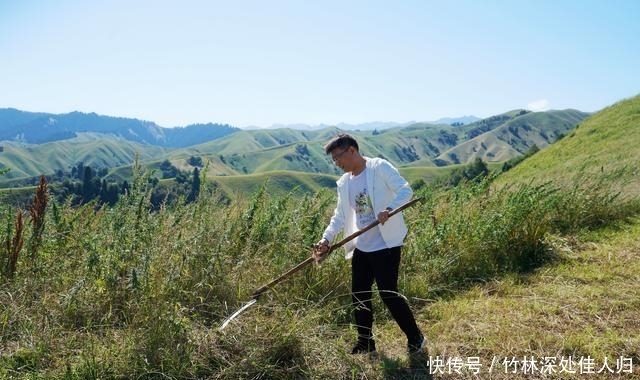 跟着哈萨克族牧民上山打草，体验哈萨克族生活，感受新疆秋季魅力