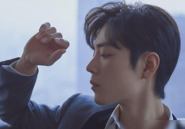 肖战代表作陈情令