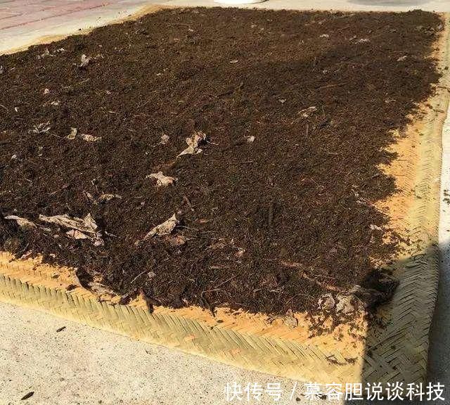 『松针土』春天挖这3种土养花,透气不烂根,养啥花都旺