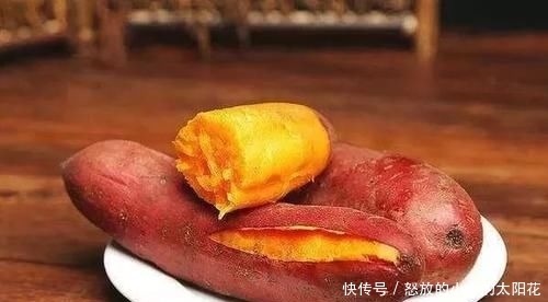  好物■鲤鱼最爱吃什么？野钓多年终于得出答案，五种鲤鱼无法抗拒的好物