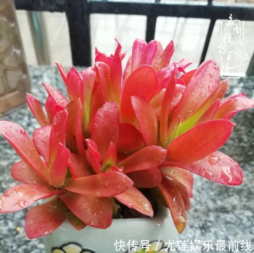 『那种』我爱的,就是你的存在!只要努力该来的都在路上!
