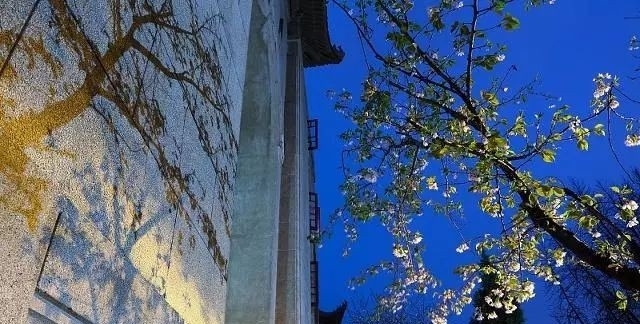 环保关停企业，再到农村禁养禁烧！罔顾民生，这样的环保要不得