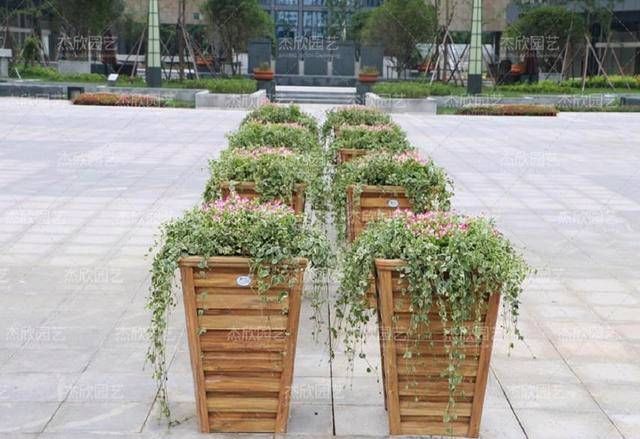  型是指花箱■广场摆放花箱的五种方法