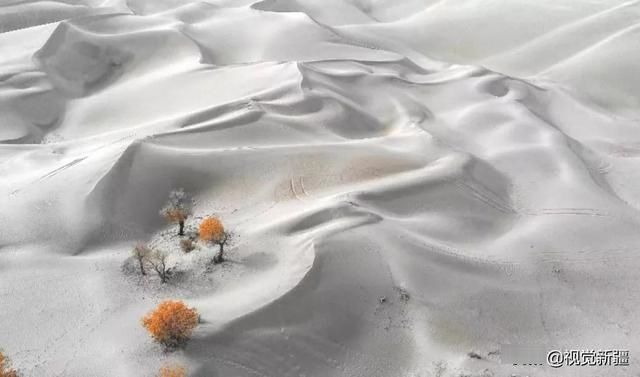 大山 沙漠 湖泊 金胡杨是大自然最完美的构图