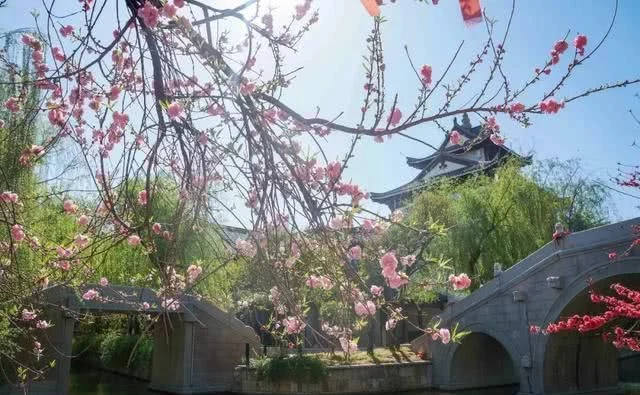 醉美不过台儿庄,小城沐浴在春光,盎然春意让阳光一天天的明媚起来【2020热门旅游景点】