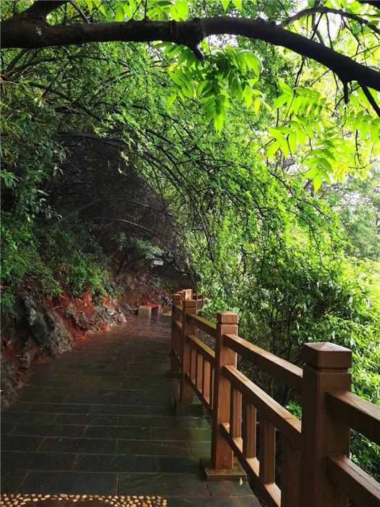 『游客』东江湖:5月31日前面向全国游客免票