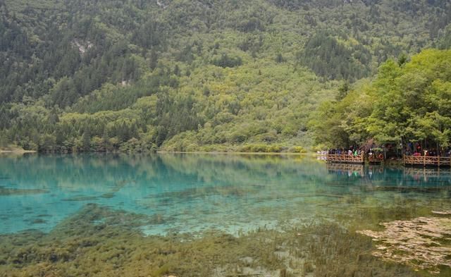  [旅行]九寨回归不要看水