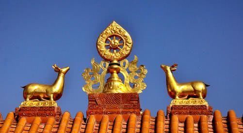 西藏用他的……彻底征服了全世界!