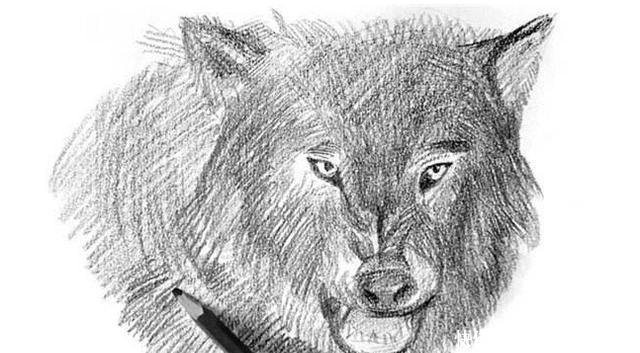 『人格』心理测试你认为哪只狼最凶狠测试你内心深处的阴暗人格