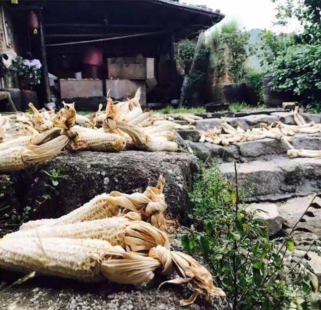 南宁深山藏了个清代古村庄，土瓦房、石板路…山色葱葱，宁静闲适