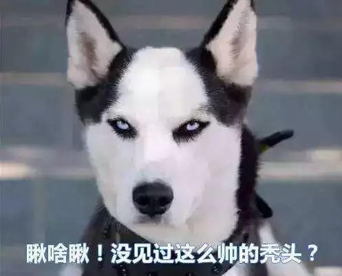 想要吸睛、做人群中最亮眼的那颗星,听说你缺这个东西!