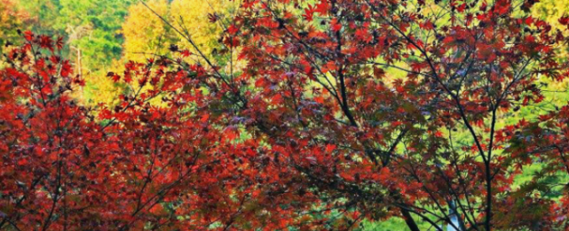 湖南千年未更名换址城市，有望成下一特大城市，城市进步有目共睹