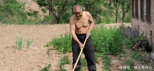 7旬老人农田里光膀子干活，说到三个孙子顿时眉开眼笑