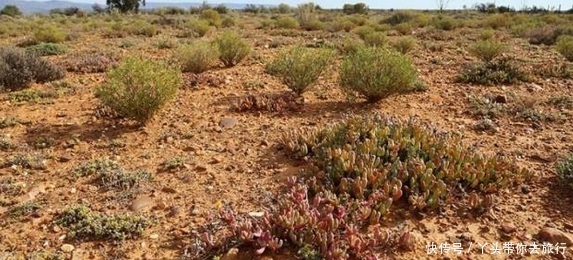 非洲遍地都是“玉石”，导游却告诫：别犯傻，可千万别拿！