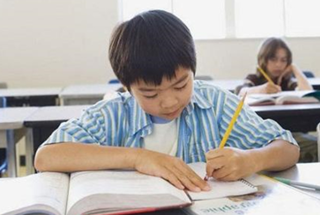 家长应该学会听其自然,让中小学生为所当为