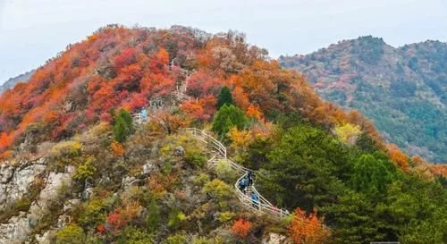 自然之神秘,万物之善意,天地之美好【2020热门旅游景点】
