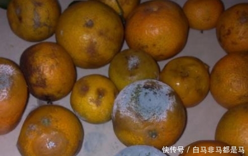  「橘子」烂了的橘子千万别扔，放在家里能“值钱”，要早点明白就好了