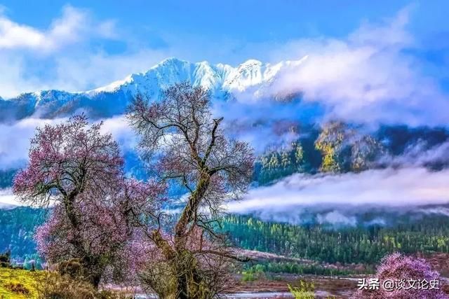 春天最美的十二个地方，你最想去哪个？