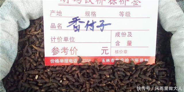 农村顽固杂草之首，农民气得牙痒痒，小时候错当美味，原来真是宝